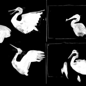 Hothouse 7: Animating animals... Am I crazy? Hothouse 7: Animating animals... Am I crazy?