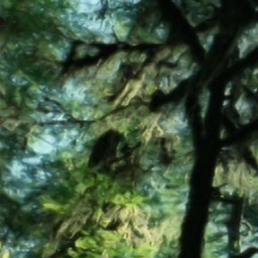 9 films to celebrate Parks Canada's centennial 9 films to celebrate Parks Canada's centennial