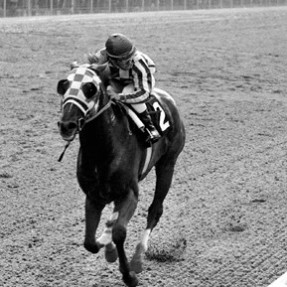 New Release | Rent Secretariat's Jockey - Ron Turcotte for $2.95 New Release | Rent Secretariat's Jockey - Ron Turcotte for $2.95