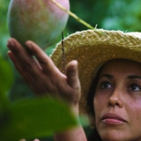 Watch Docs About Rare Fruits, Horse Racing and Prostitution Laws in Libraries This Fall Watch Docs About Rare Fruits, Horse Racing and Prostitution Laws in Libraries This Fall