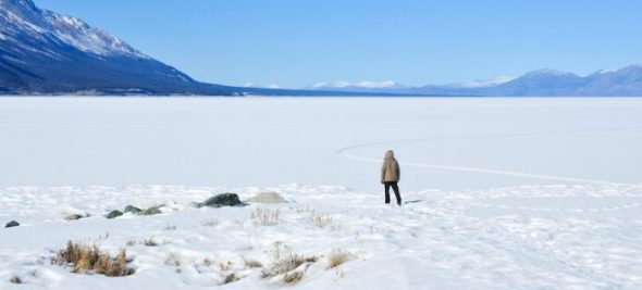 The Call of the Yukon