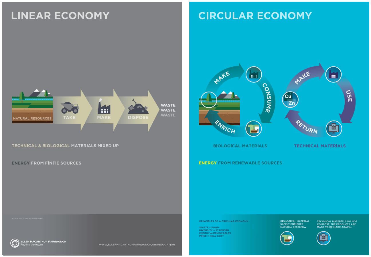 Linear economy vs circular economy