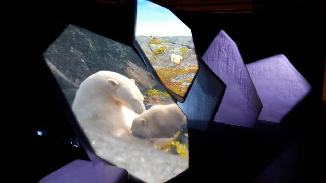 Touch a Real Iceberg at the Canadian Museum of Nature!