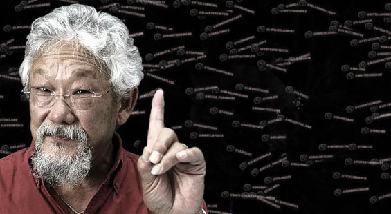Introducing Test Tube, NFB’s new interactive project featuring David Suzuki
