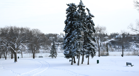 NFB Tour: Saskatoon