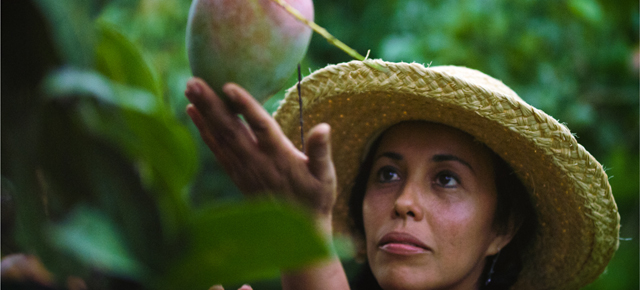 Watch Docs About Rare Fruits, Horse Racing and Prostitution Laws in Libraries This Fall