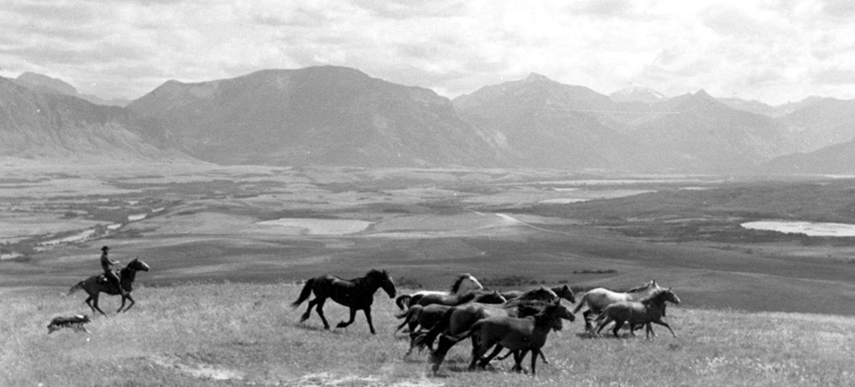 Ride ’em, cowboy! Check out 5 films about the Wild West