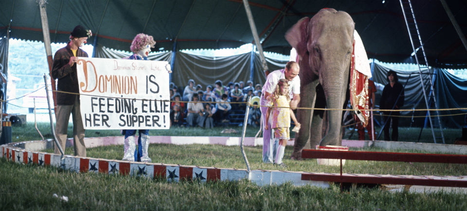 High Grass Circus: low-tech, grassroots entertainment