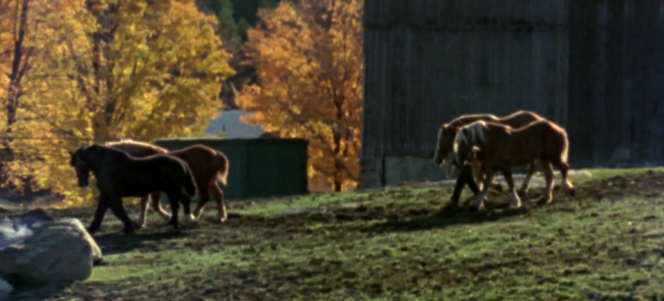 Watch 5 autumn films and celebrate the harvest season in style