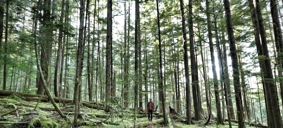 Hadwin’s Judgement Premieres April 27 at Hot Docs