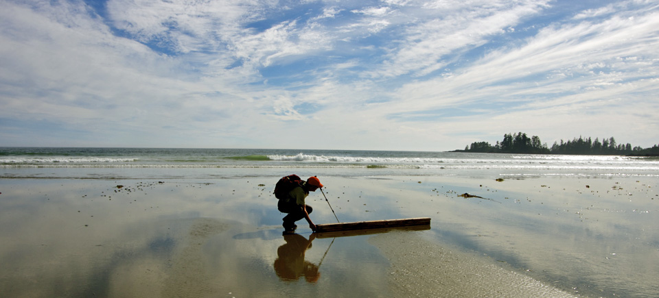 Honour the 5th Anniversary of the 2011 Tsunami with a Free Stream of our Short Film Debris