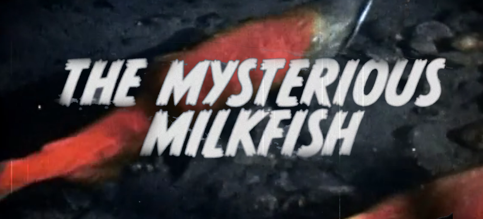 The Mysterious Milkfish and Other Totally Real Animals