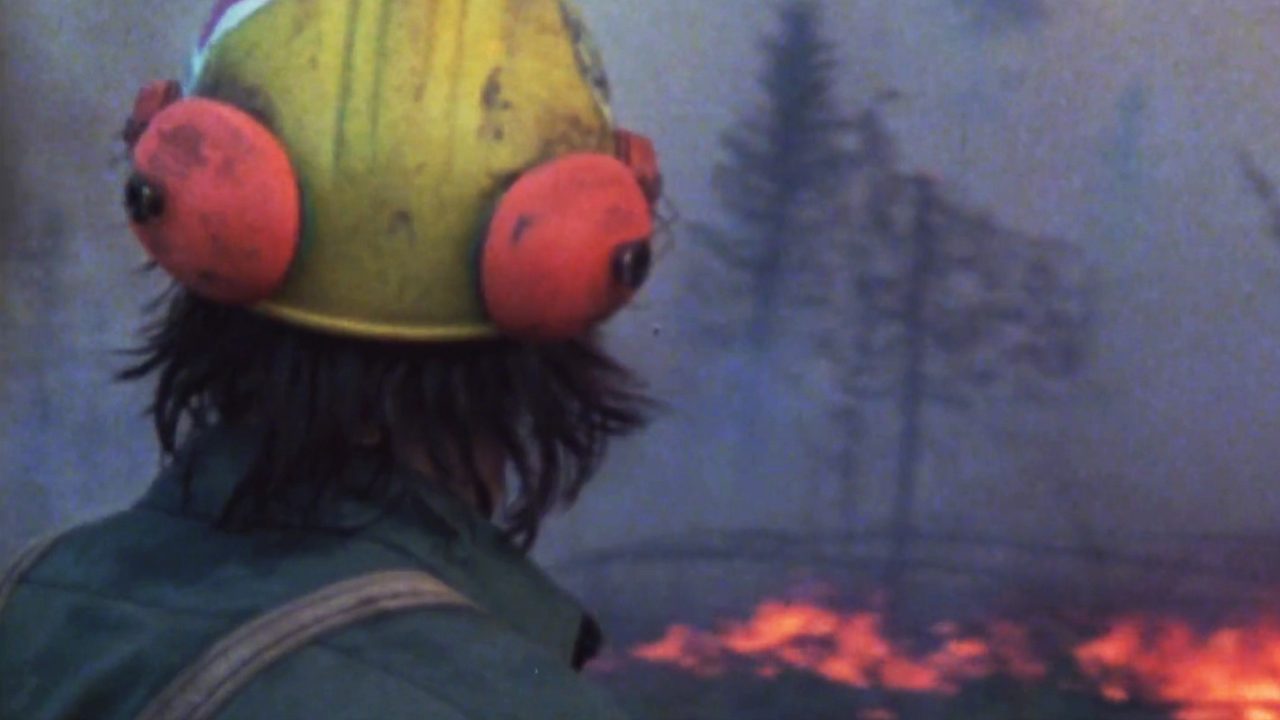 Travel into the heart of a forest fire with these 2 docs