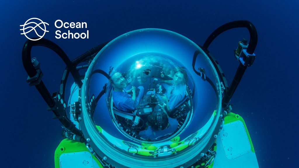 Ocean School : An Underwater Classroom - NFB Blog