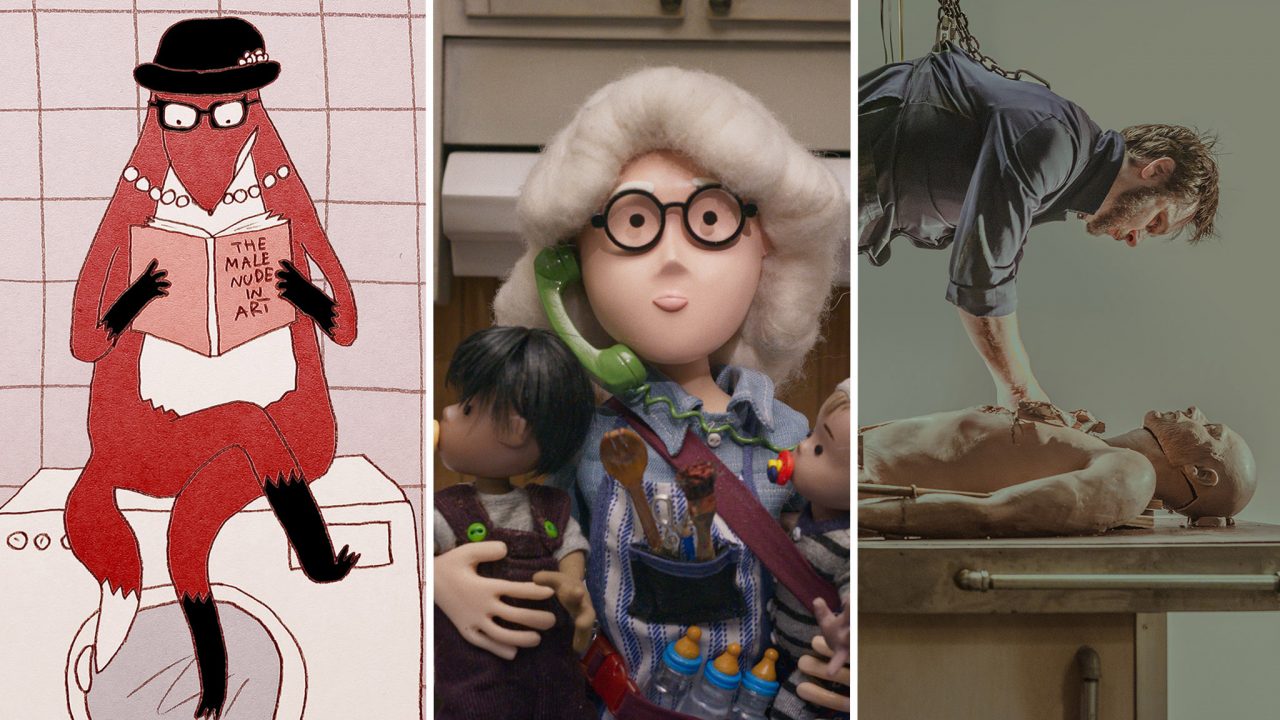 Coming in May: Watch 3 New Animated Shorts on NFB.ca