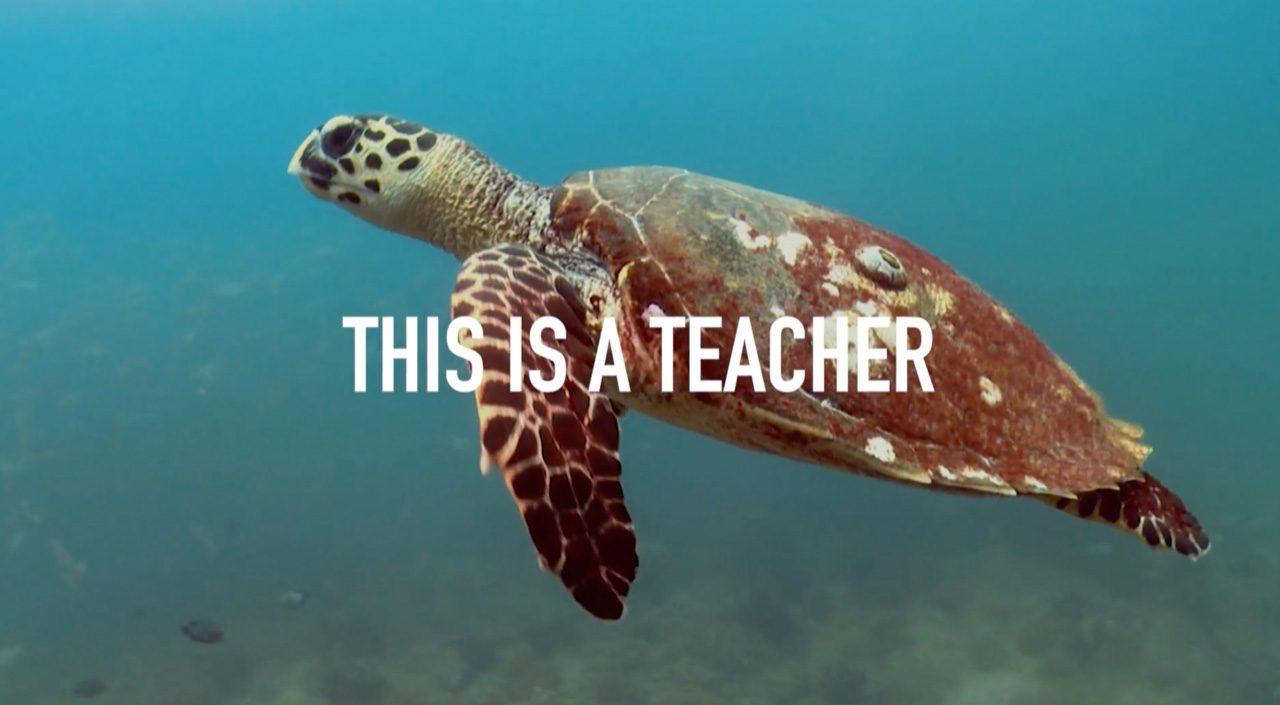 Ocean School | Immerse Yourself in Learning