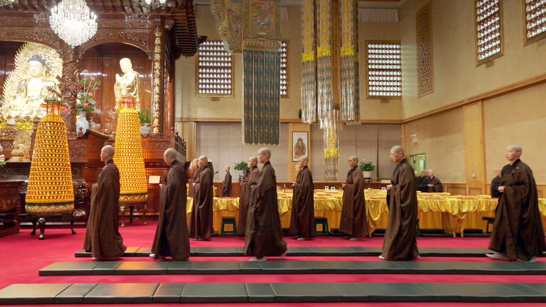 NFB Hidden Gems of 2020 | Curator’s Perspective - NFB Blog